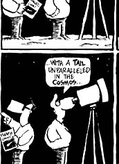 fred and frank comics, cartoons