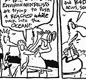 fred and frank comics, cartoons